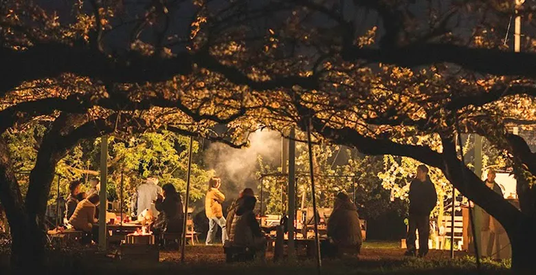 ライトアップされた大きな木の下で、大勢の人が集まり食事を楽しんでいる夜の風景。